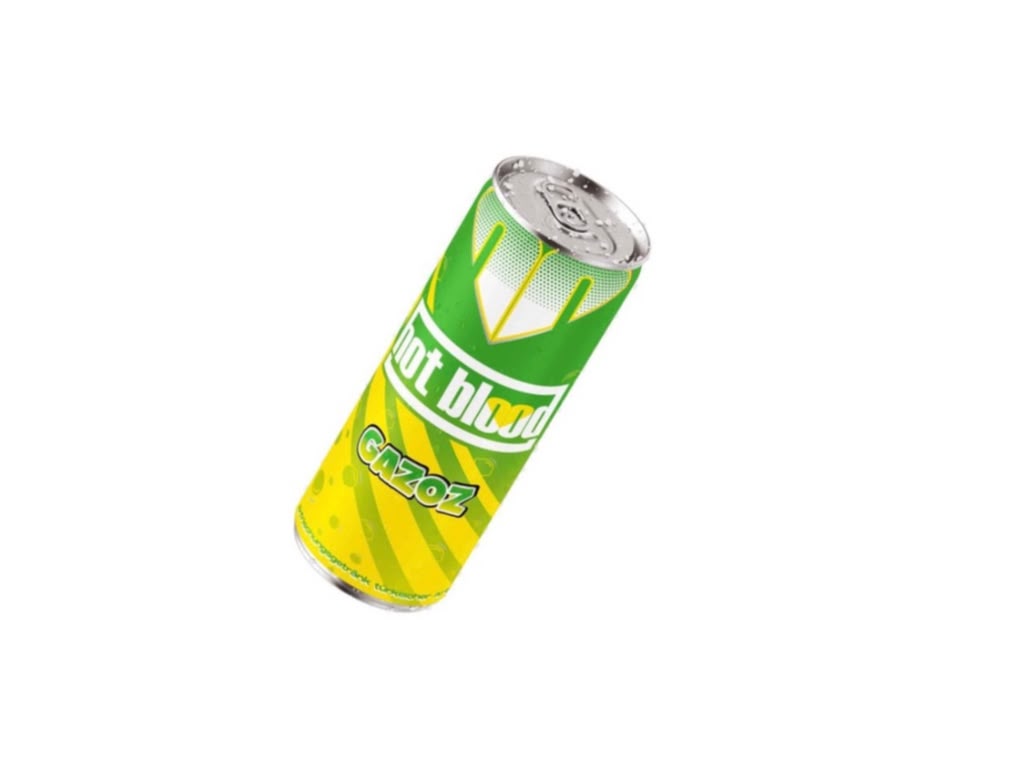 Hot Blood Gazoz – 0,33 l Dose